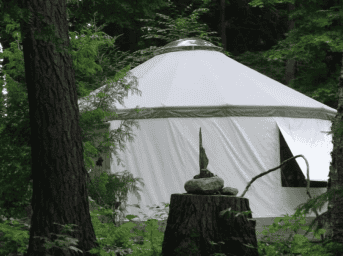 Yurt in lush forest setting for a unique outdoor experience.